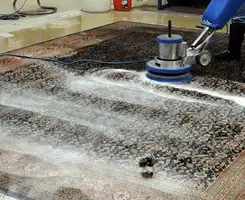 Professional rug cleaning with a rotary floor machine and shampoo foam, deep-cleaning an area rug, in Houston, TX.